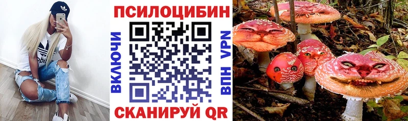 Псилоцибиновые грибы мухоморы  даркнет сайт  Чапаевск 