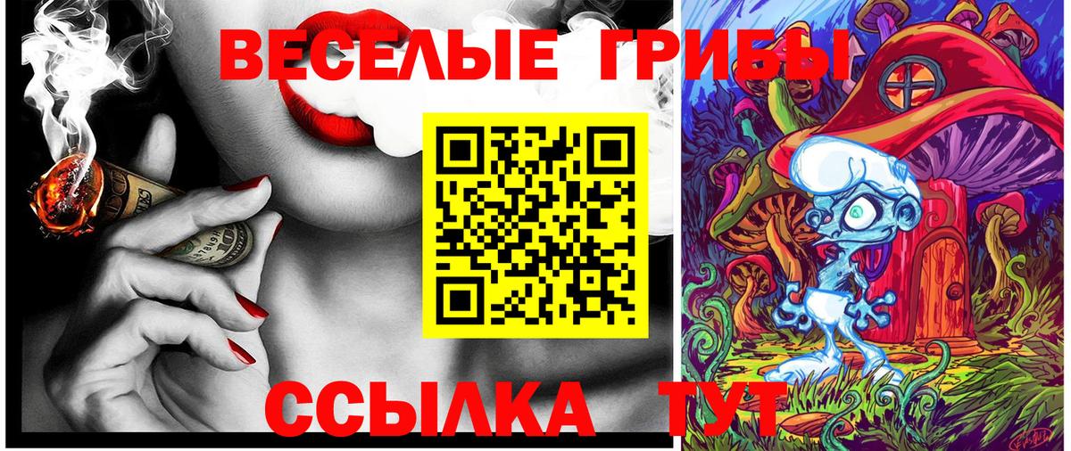 Галлюциногенные грибы Magic Shrooms Чапаевск