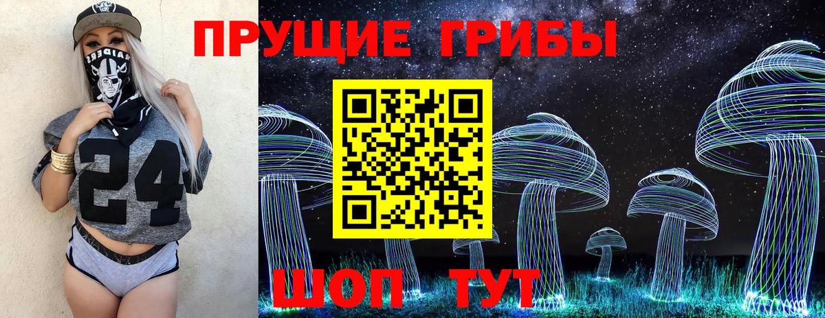 Чапаевск  Псилоцибиновые грибы прущие грибы  Вход с VPN 