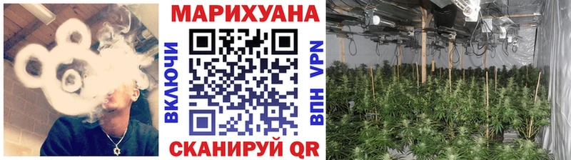 Конопля Bruce Banner  shop официальный сайт  Чапаевск 